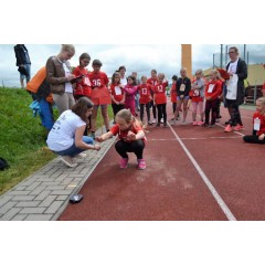Sportovní dětský den - Čokoládová trepka 2017 VII. - obrázek 91