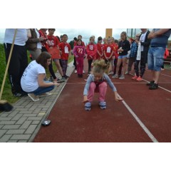 Sportovní dětský den - Čokoládová trepka 2017 VII. - obrázek 102
