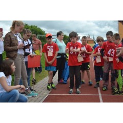 Sportovní dětský den - Čokoládová trepka 2017 VII. - obrázek 157