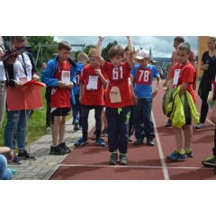 Sportovní dětský den - Čokoládová trepka 2017 VII. - obrázek 173