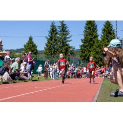 Čokoládová trepka 2026 I. - obrázek 110