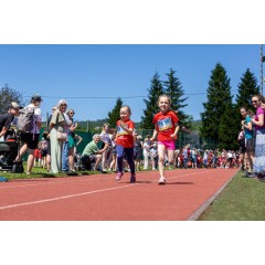 Čokoládová trepka 2026 I. - obrázek 112