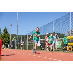 Čokoládová trepka 2026 I. - obrázek 151