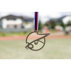 Čokoládová trepka 2026 I. - obrázek 190