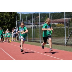Čokoládová trepka 2026 II. - obrázek 109