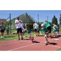 Čokoládová trepka 2026 II. - obrázek 115