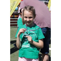 Čokoládová trepka 2026 II. - obrázek 152