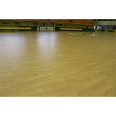 Rekonstrukce povrchu Sportovní haly 2026 - obrázek 16