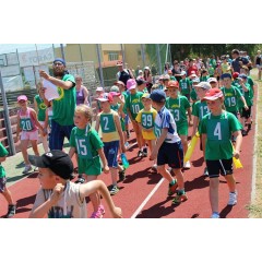 Sportovní dětský den 2015 I. - obrázek 43