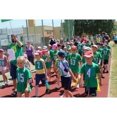 Sportovní dětský den 2015 I. - obrázek 44