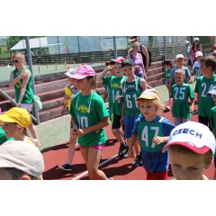 Sportovní dětský den 2015 I. - obrázek 47