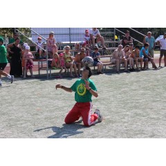 Sportovní dětský den 2015 I. - obrázek 159