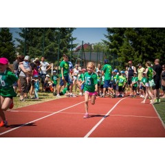 Sportovní dětský den 2015 III. - obrázek 15