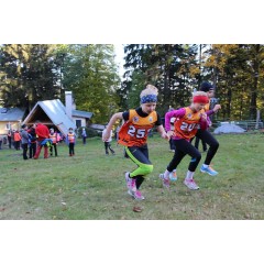 Běh světlonohovými chodníčky - obrázek 10