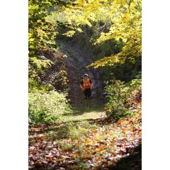 Běh světlonohovými chodníčky - obrázek 21