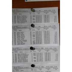 Běh světlonohovými chodníčky - obrázek 37