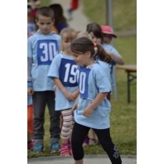 Sportovní dětský den - Čokoládová trepka 2016 III. - obrázek 525