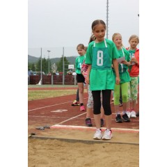 Sportovní dětský den - Čokoládová trepka 2016 IV. - obrázek 148