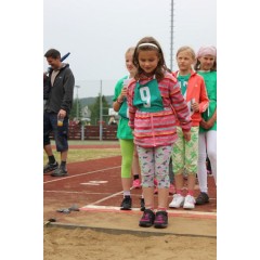 Sportovní dětský den - Čokoládová trepka 2016 IV. - obrázek 150