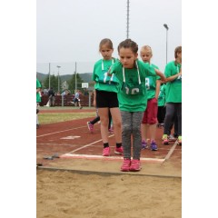 Sportovní dětský den - Čokoládová trepka 2016 IV. - obrázek 158