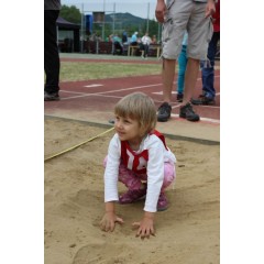 Sportovní dětský den - Čokoládová trepka 2016 IV. - obrázek 378